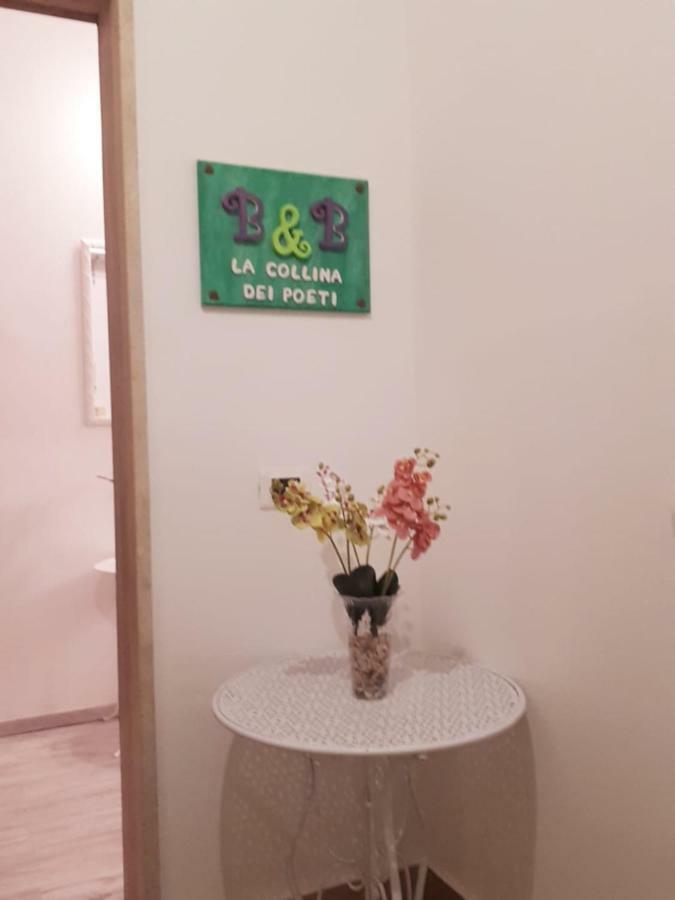 B&B La Collina Dei Poeti 卡坦扎罗 外观 照片